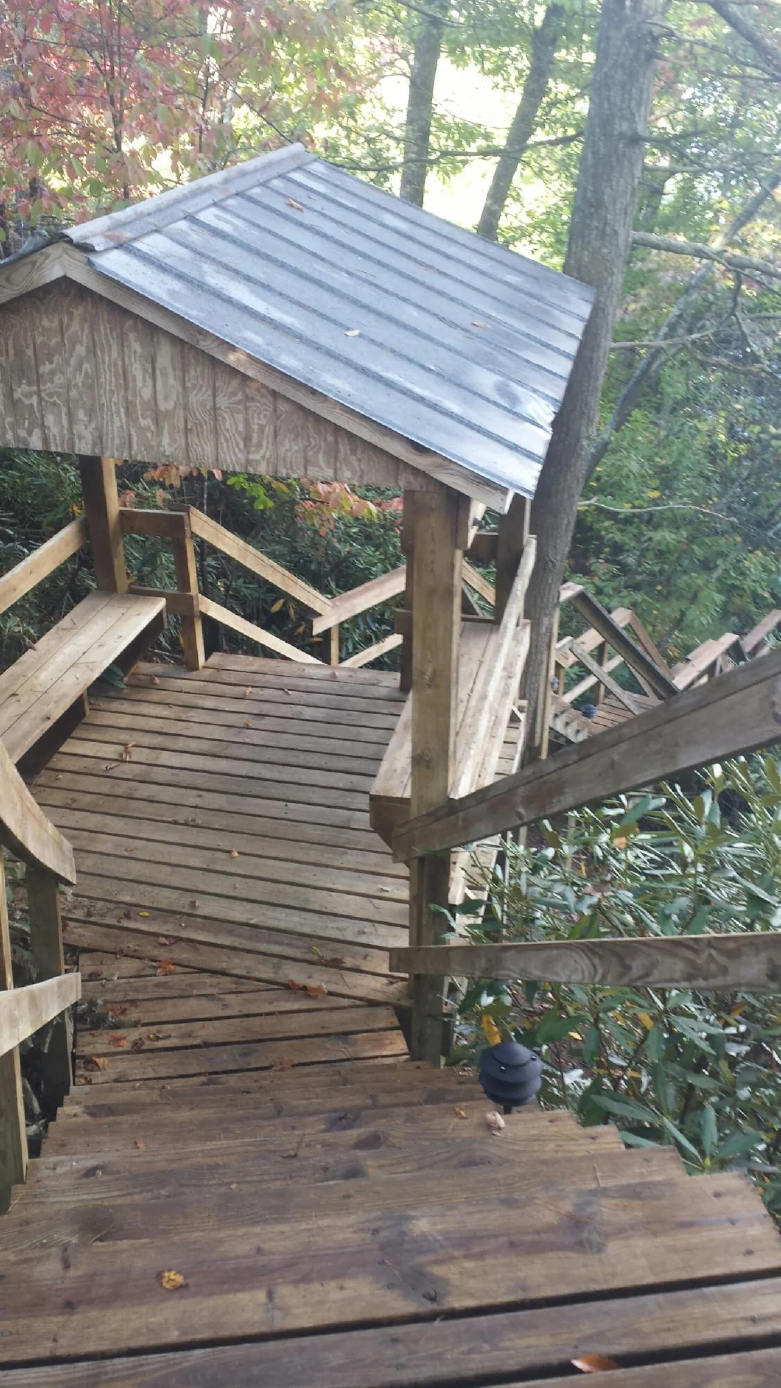 Metal roofed shelter over wooden steps on a wooded walkway — Skylight Repair & Installation work by our crew in Dora