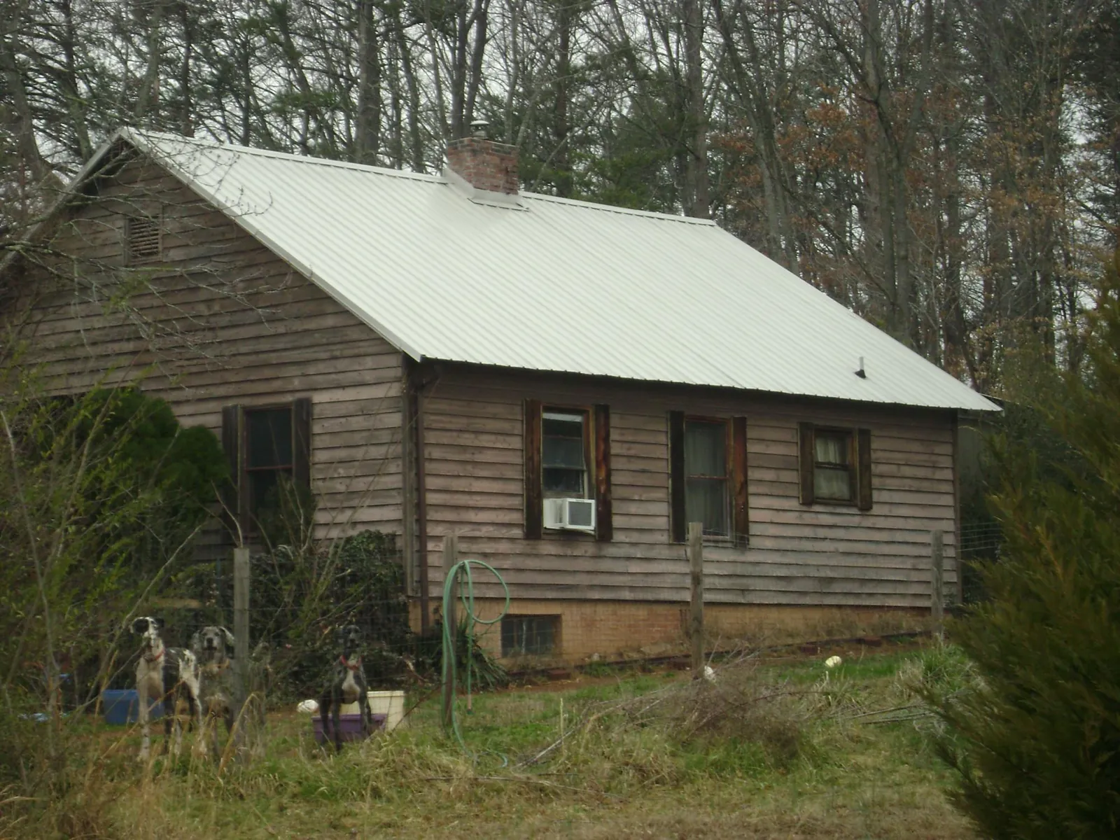 White metal roof on an old wood sided farmhouse, from a Metal Roof Installation job in Dora